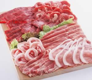 ��������ָ�ϣ��̵�سԵ�9������ʳ��