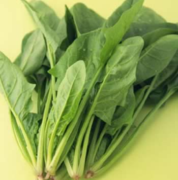 ��������ָ�ϣ��̵�سԵ�9������ʳ��