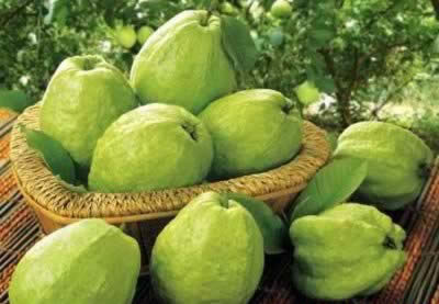 �����ݸ�ʳ�� ��ȥ�ѿ�С����