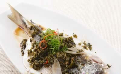 ��ѩ�����ɢ���̲� ����Ӫ��5��λ