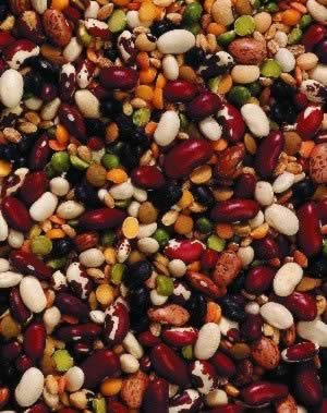 �ո��ȷ��� ��ʳ�ŷ����Ŷ�һ����