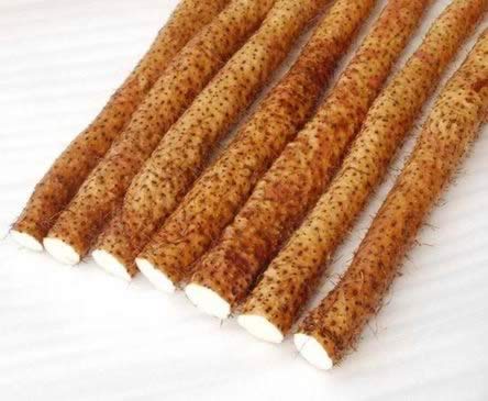 ������Ѫ ����Ů����ɫ���Ƶķ���