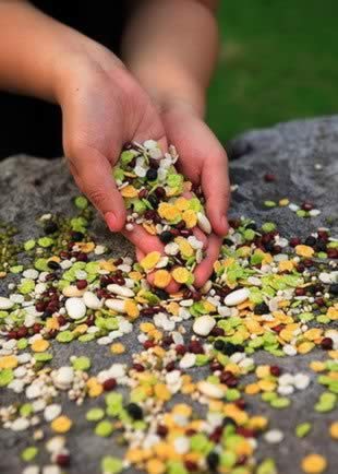 һ����ǧ�� 5ʳ��Ժ�����һ�׵���