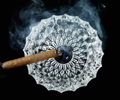 ������� С���ߴ�&ldquo;����&rdquo;��ʳ��