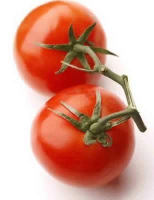 ����ƻ�� ˮ������ߴ�