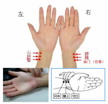 ��ҽ�������