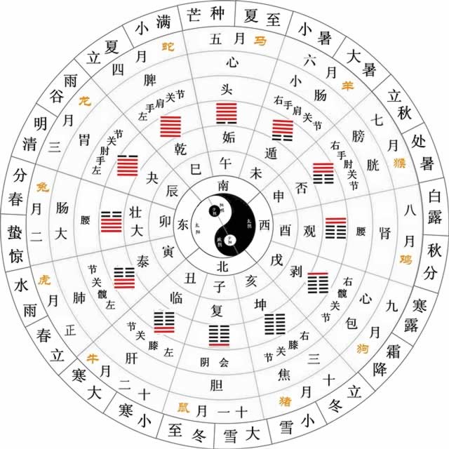 ��ҽ�������������ͼ