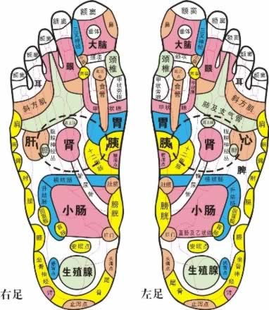 �＾�㲿�������β���������Ħ����