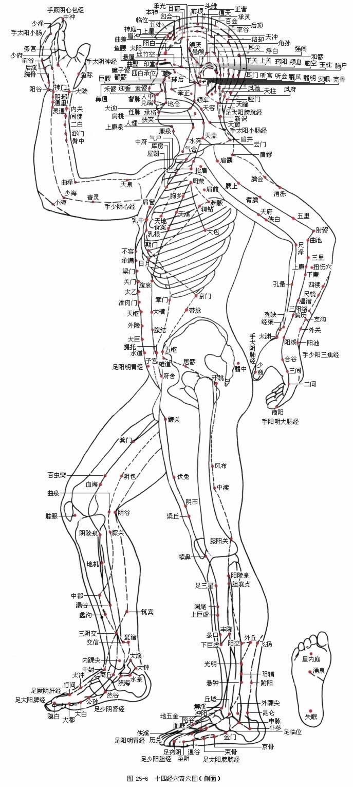 ʮ�ľ�Ѩͼ�����棩