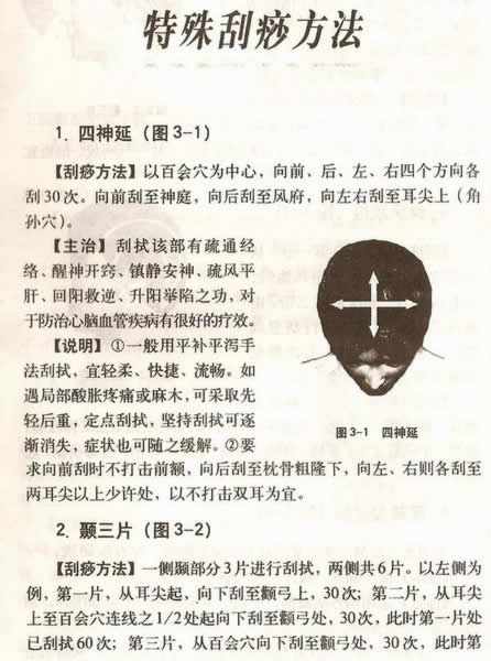 ����������Ƽ�������