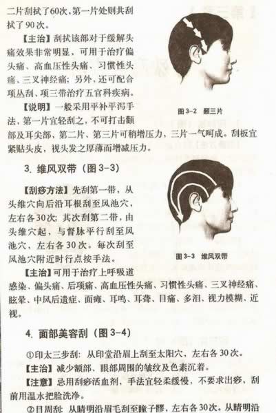 ����������Ƽ�������