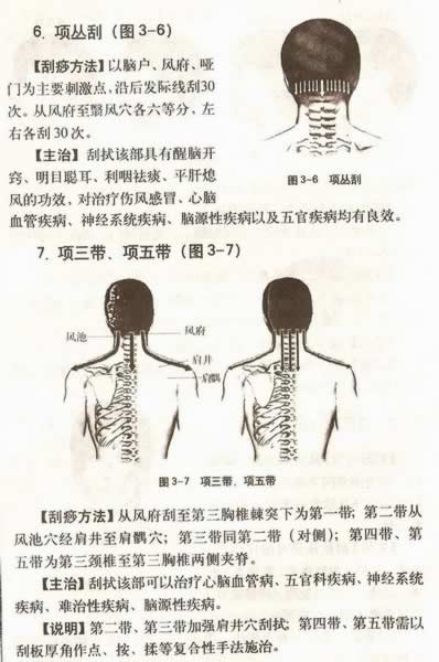 ����������Ƽ�������