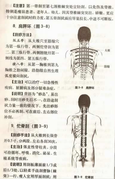 ����������Ƽ�������