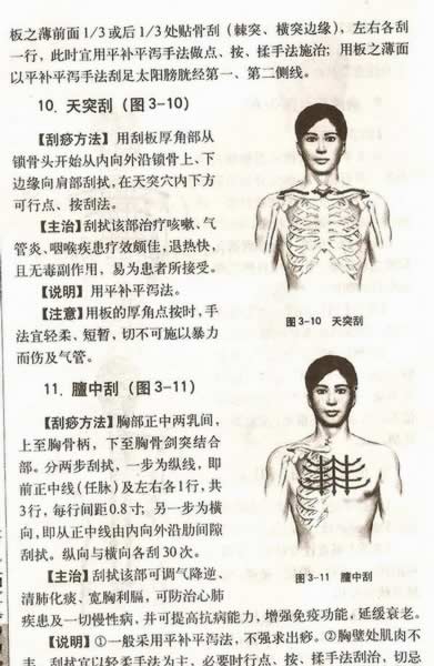 ����������Ƽ�������