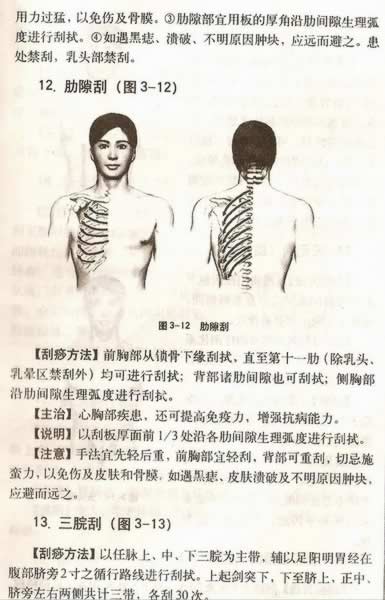 ����������Ƽ�������