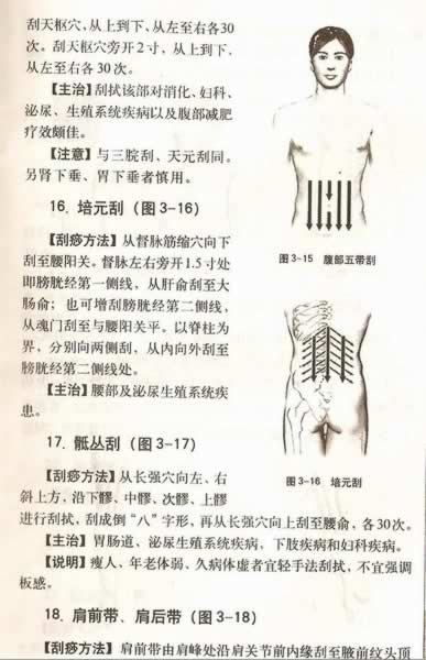 ����������Ƽ�������