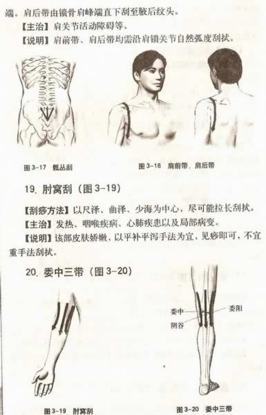 ����������Ƽ�������