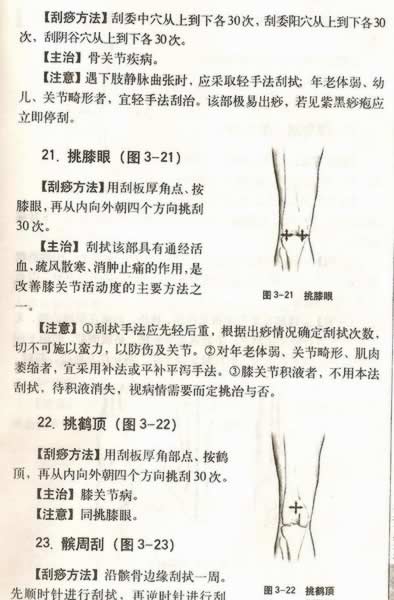 ����������Ƽ�������