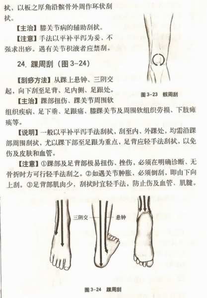 ����������Ƽ�������