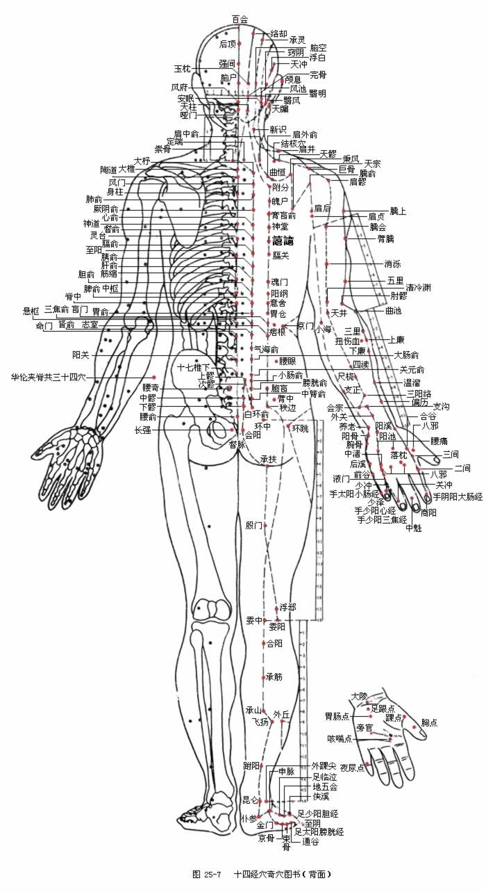 ʮ�ľ�Ѩͼ�����棩