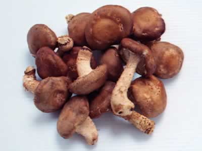 世界睡眠日养生食疗推荐 摄入香菇有助睡眠