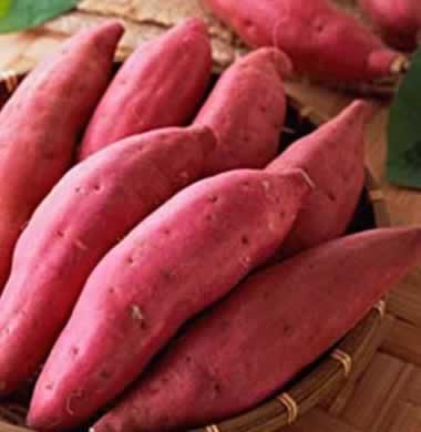 ���ӹ����� &ldquo;������ʳ&rdquo;ʹ���� �̵���Щʳ����������