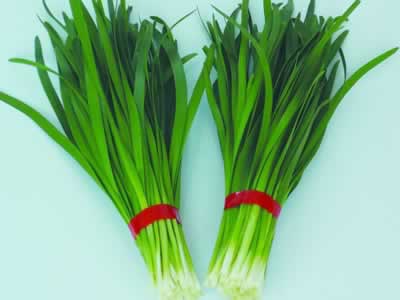 ��ҽ׳��ʮ����