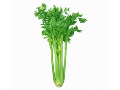 ���ݷ�����ô��  10��ʳ������æ