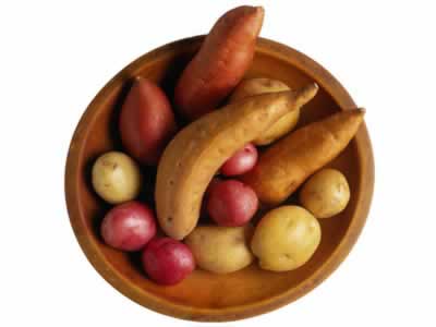 中医养生:冬季滋补抗严寒 素食功效不容小觑