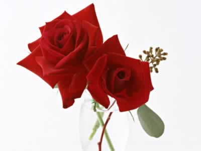 ��ҽ������Ů�Խ��������� õ�幦Ч�治С