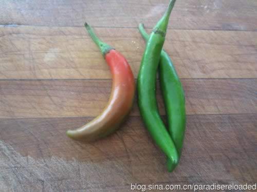 �罷���צ�������