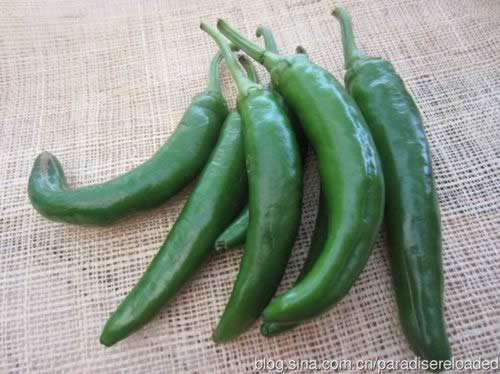 �罷���צ�������