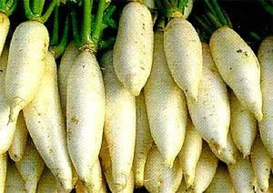 �ܲ��ܴٽ�θ���䶯����ǿʳ������������