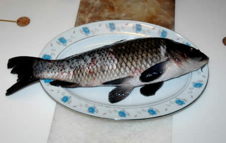 鱼类活杀现吃残留毒素危害身体