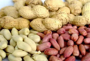 ���Ի�����