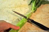 ����ݫ��˿������