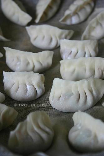 ������ľ��Ϻ�׽ȵ�����