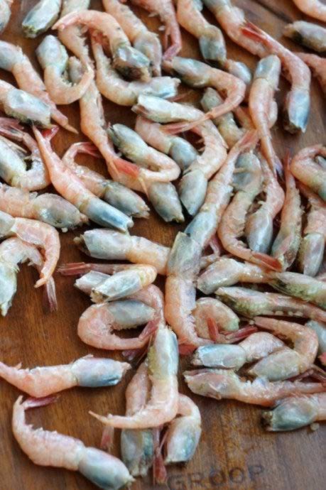 �ͱ�����Ϻ������