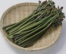 ����ާ�˷۾�������