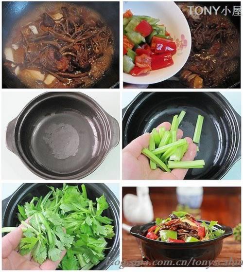 �ɹ���������ɵ�����