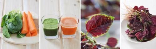 胡萝卜、菠菜、紫苋菜面条的做法