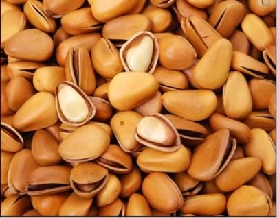 ���ӵ�Ӫ����ֵ����Ч������