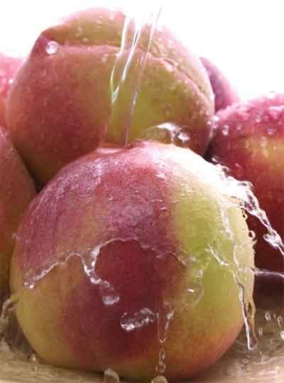 ���ӵ�Ӫ���ɷ֡����ü�ʳ�ý���