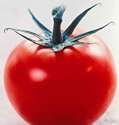 ������Ӫ����ʳ��Խ���Ķ���