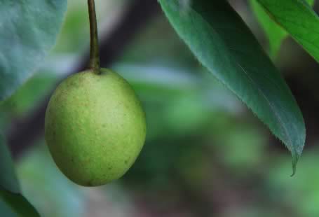 ��-&ldquo;�ٹ�֮��&rdquo;