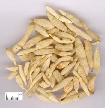 �󶬵Ĺ�Ч������