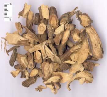 ɽ������ҽ�ƹ�Ч����������