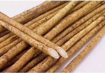 ��ҽ���ݾ���-ţ��