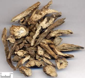 ��ͷ�̵Ĺ�Ч������