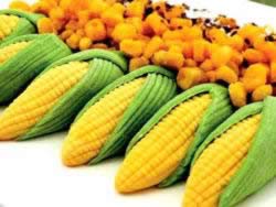 ����Ѫ�ܣ����Ѫ���������ļ���ʳ��